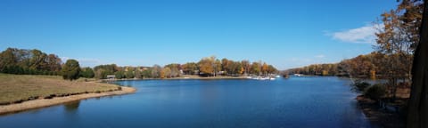 Another view from the dock