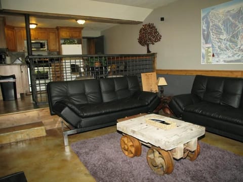 These couches easily fold into comfortable cozy beds