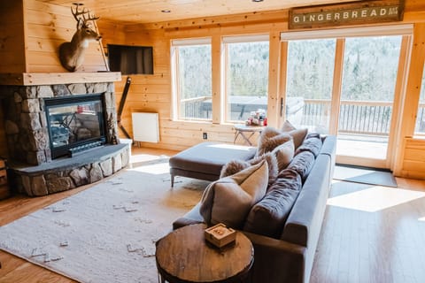 Living room with gas fireplace 