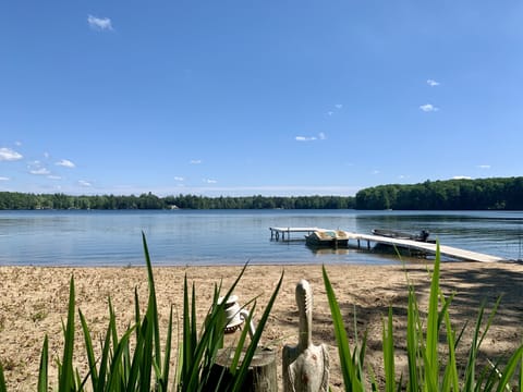 Beautiful Views on Bass Lake