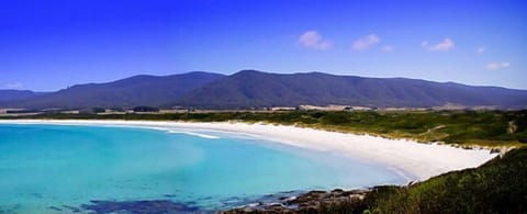 View from the cabin track to the beach