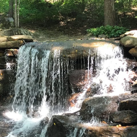 Brett's Falling Waters Cabin
