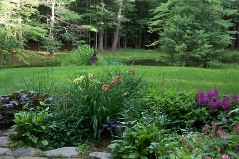 Summer garden with glimpse of pond