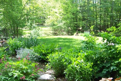Our garden seen from the porch