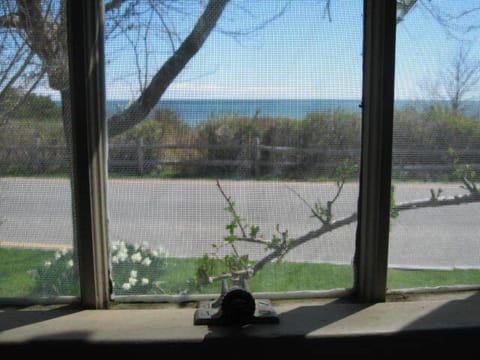 living room view across street to ocean