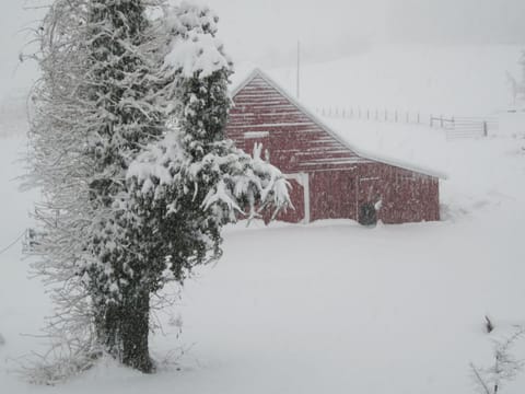 Barn in blizzard