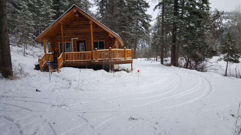 Cabin Winter