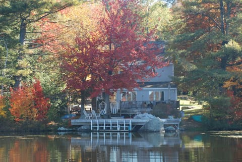View from lake