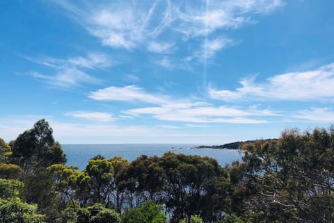 The view over the bush to the start of the Bay of Fires