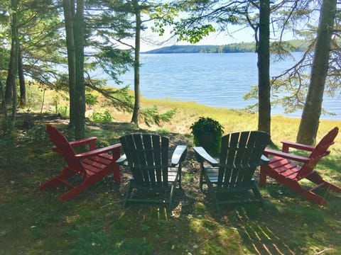 Your private spot to enjoy views of Morgan Bay wildlife and gorgeous sunsets.