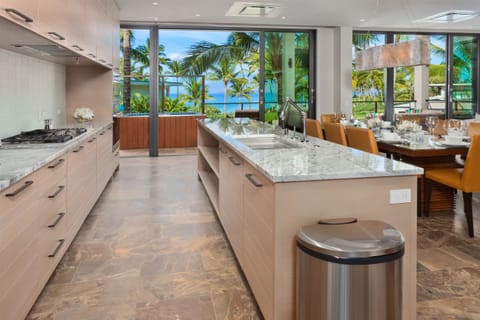 Enormous open concept kitchen leads to the extra large lanai