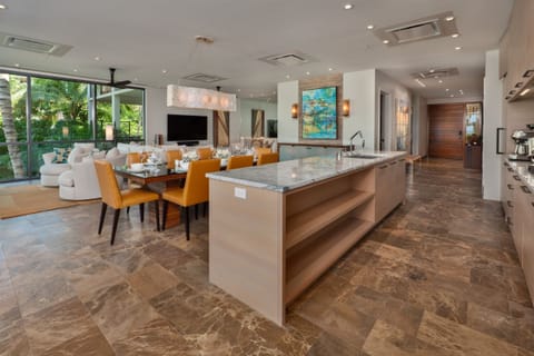 Minimalist kitchen with maximum accoutrements