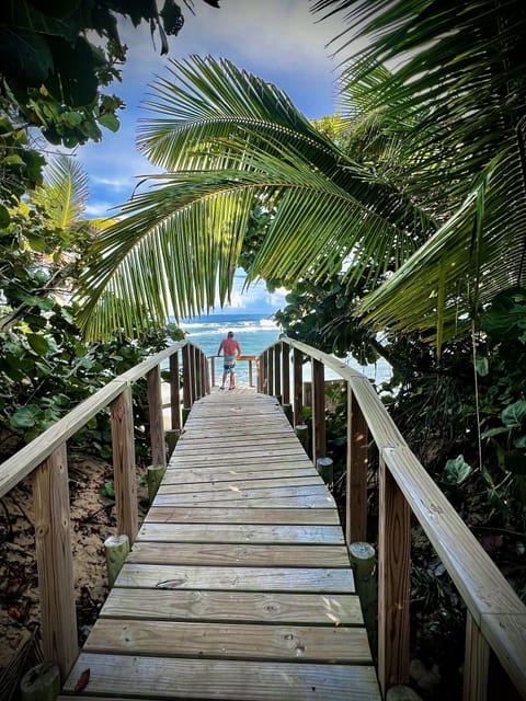 Path to gorgeous Shacks beach, 100 paces from The Lone Palm