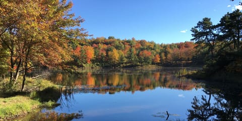 Fall Lake View