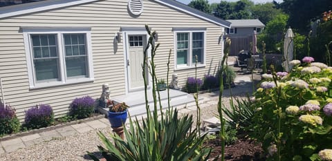 South side of house and patio