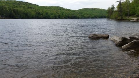 View of the lake at public access