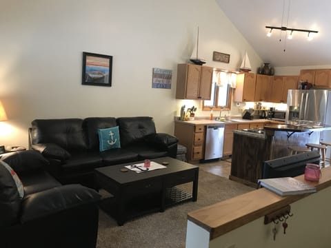 Kitchen and living room area