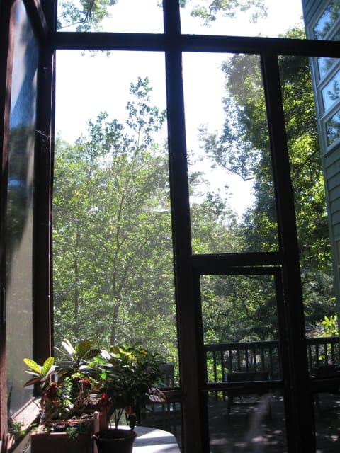 Back of porch with views of Greater Fernbank Forest & Peavive Creek. Total priva