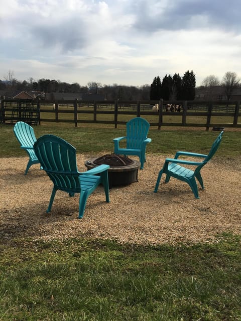 Fire pit overlooking horse pastures