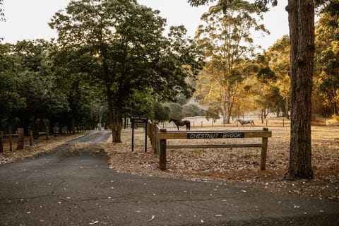 Welcome

Credit: Aaron Robbins Photography QLD