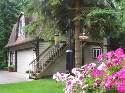 Stairway to our Burt Lake guesthouse