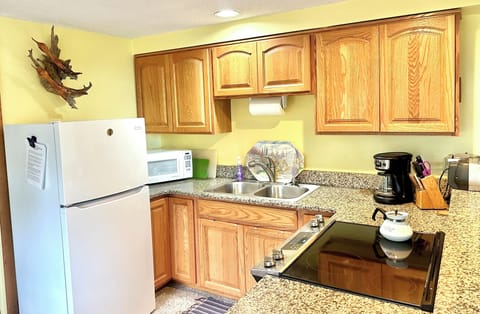 Granite countertops and a glass-top stove