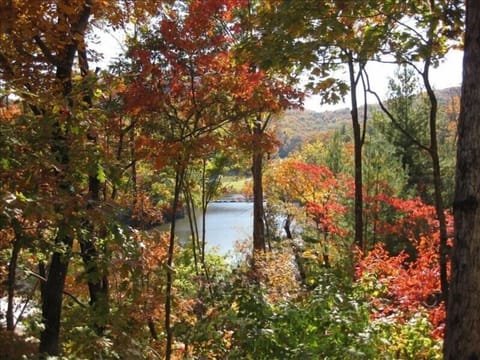 Beautiful view from deck area overlooking Lake Disharoon and Big Canoe Mntns