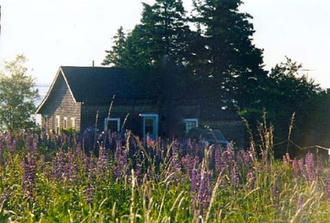 The Boulders is a cozy cottage that has lots more room than you might think.