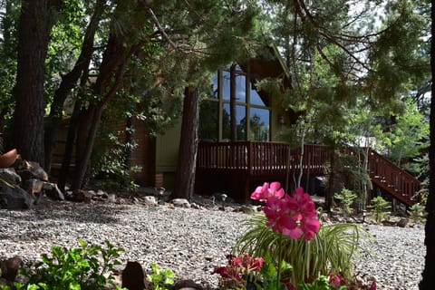 The Juniper Chalet. small, quiet, cozy and relaxing 