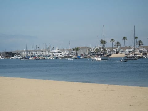 Newport Bay
