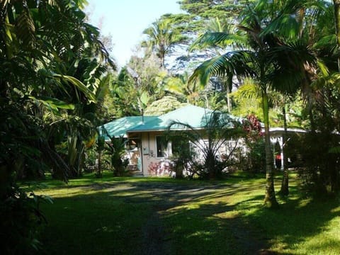 !Hale Lezarde driveway. One acre of tropical paradise awaits you!