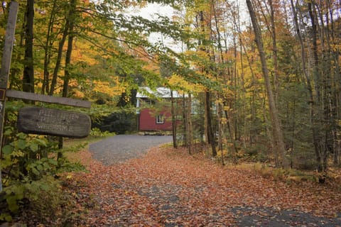 Welcome To Pucher's Place!