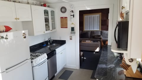 New granite countertops, fridge with icemaker, dishwasher, stove, microwave