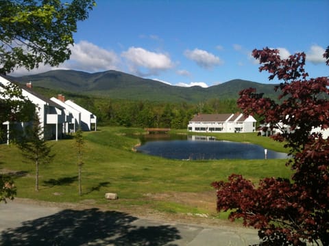 View from the condo balcony in late summer.