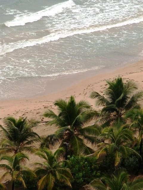 The Beach