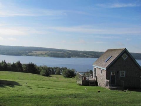 View of the lake from main house. Studio bedroom cottage.