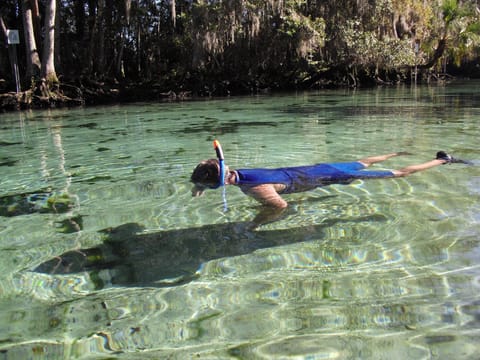 Snorkel in Springs