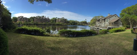 Panoramic view from the back porch