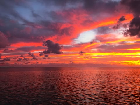 SPECTACULAR SUNSETS!!