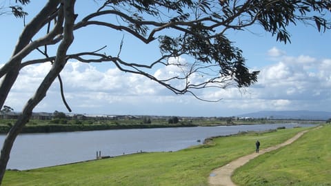 Patterson River walking track