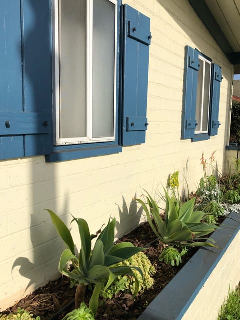 California is famous for having succulents