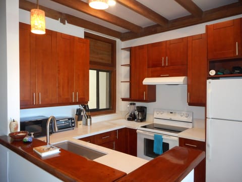 Brand new fully equipped kitchen with modern appliances.