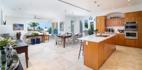 Solid Mango Wood Dining Table Exceptionally Equipped XL Chef's Kitchen