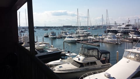 View from deck off living room.