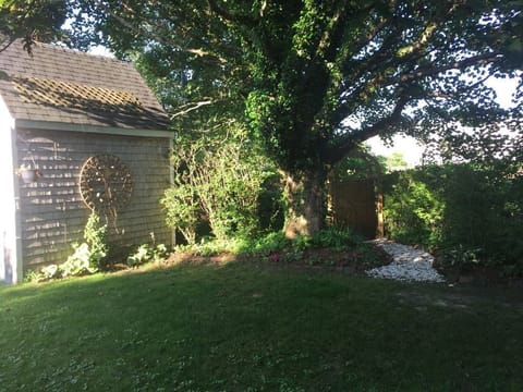 Backyard Gate and Path