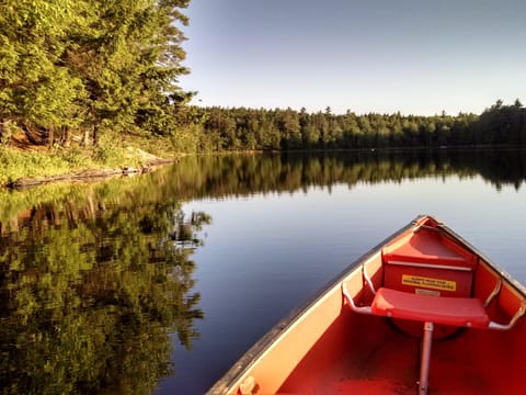 Ward Pond, calm water, quiet, beautiful, summer, nature.