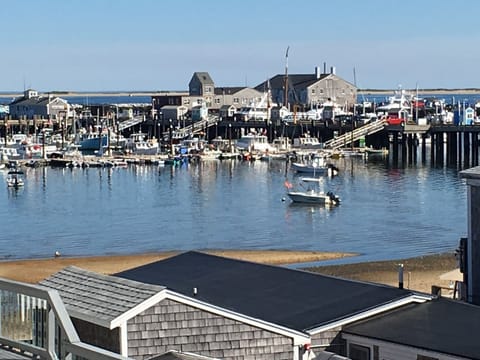 Harbor, taken from deck