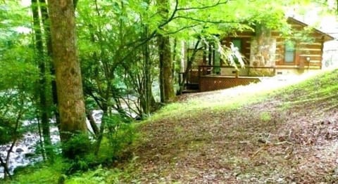 Laurelwood Falls Cabin-Side of Cabin