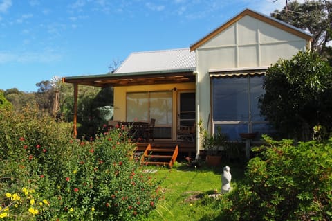Garden for bird watching and bird baths