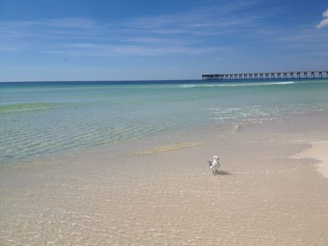 Spectacular beach front property